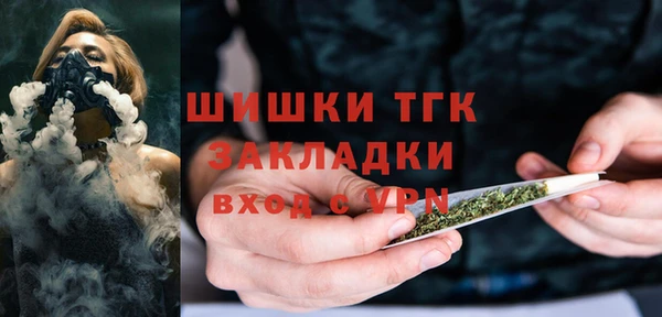 мдпв Дмитровск