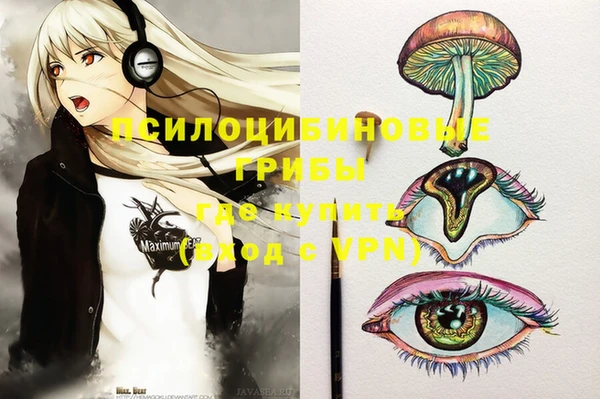 первитин Дмитров