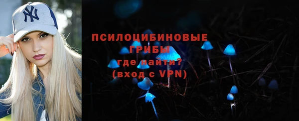 мдпв Дмитровск