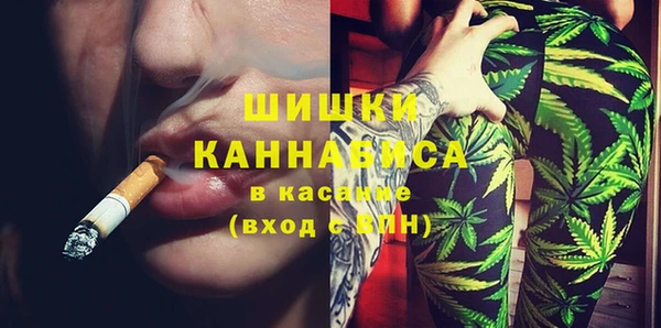 мдпв Дмитровск