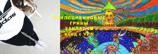 кокаин Дмитриев