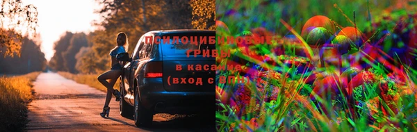 кокаин Дмитриев